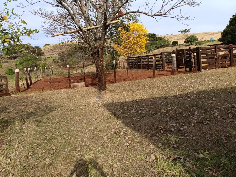 24 alqueires em Primeiro de Maio-Pr