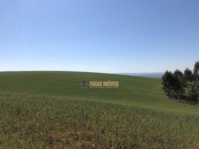 Fazenda  Município de Londrina - Zona Rural