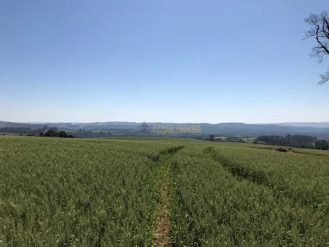 FAZENDA EM TAMARANA -PR, com 1.000 Hectares