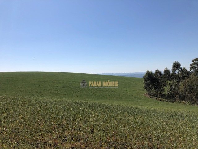 Fazenda  Município de Londrina - Zona Rural