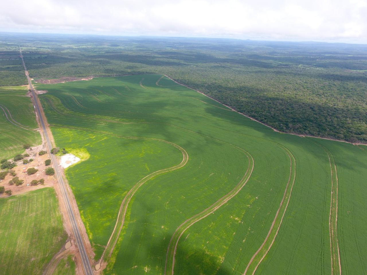 Fazenda  2.376.61 - Hectares