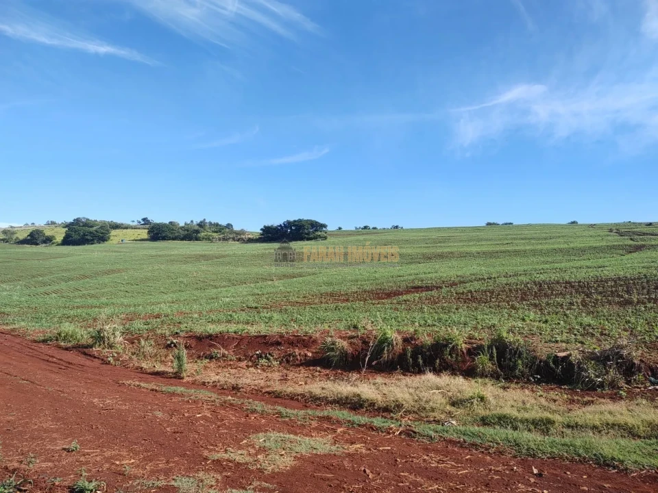 Imagens do imóveis Fazenda 100 alqueires