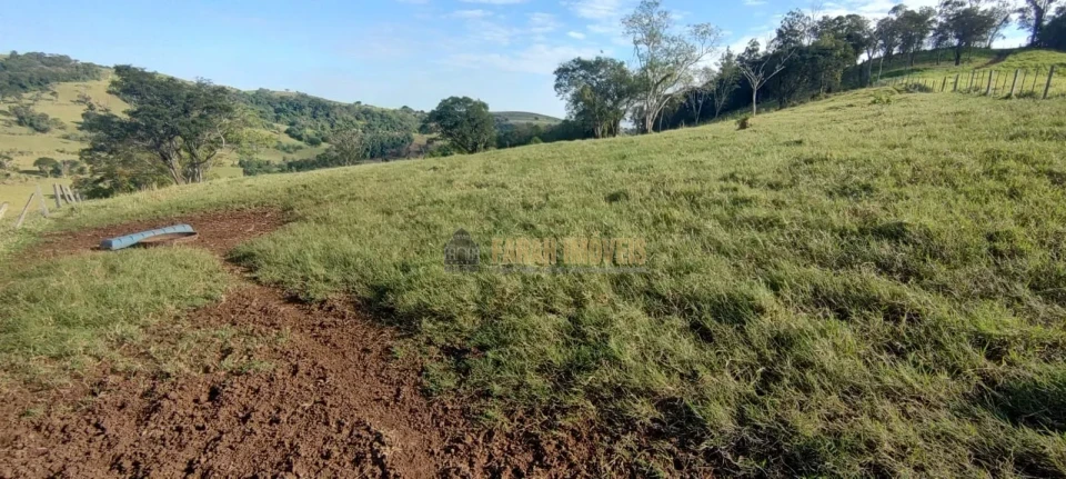 Imagens do imóveis Fazenda 100 alqueires