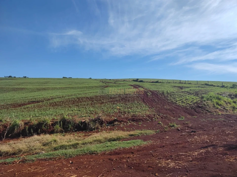 Imagens do imóveis Fazenda 100 alqueires