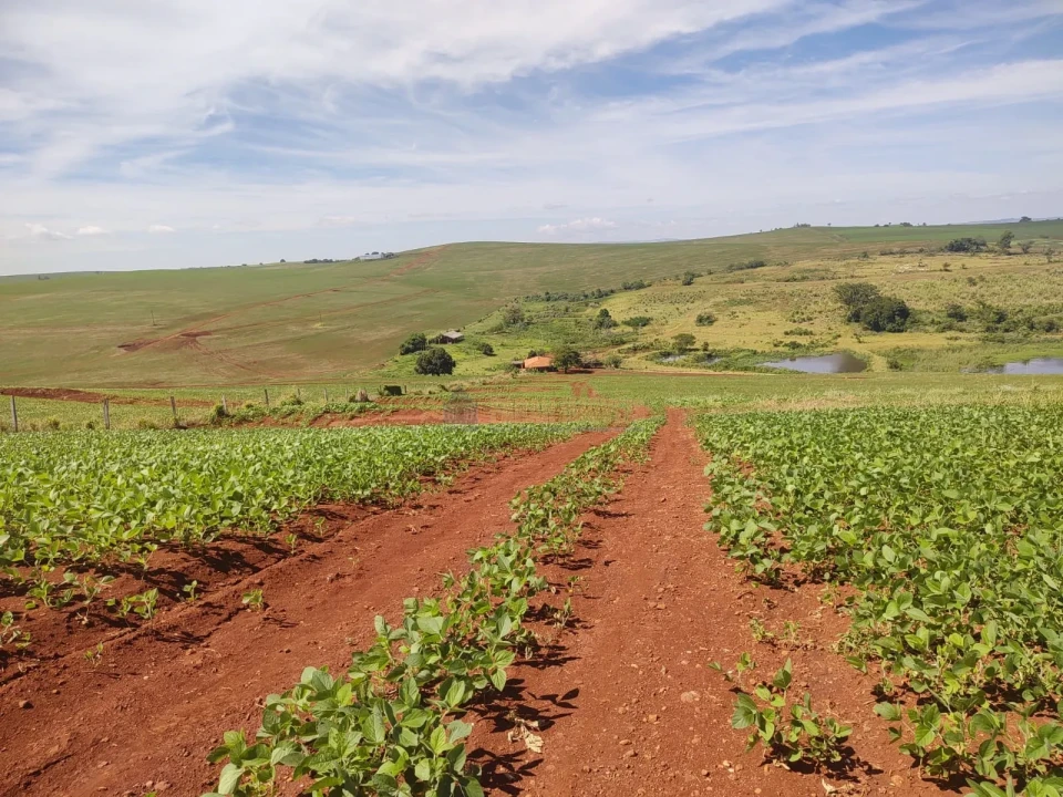 Imagens do imóveis Fazenda 100 alqueires