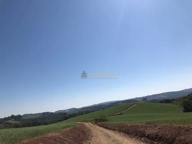 FAZENDA EM TAMARANA -PR, com 1.000 Hectares