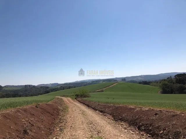 FAZENDA EM TAMARANA -PR, com 1.000 Hectares