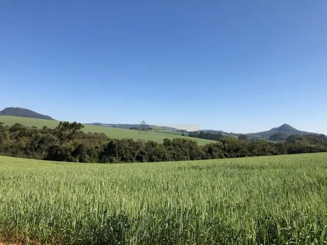 FAZENDA EM TAMARANA -PR, com 1.000 Hectares