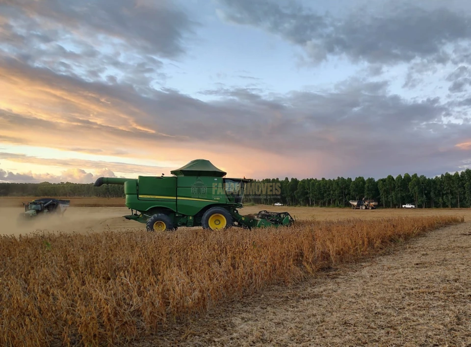 Fazenda  2.376.61 - Hectares