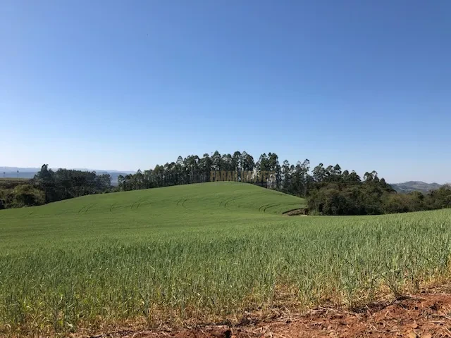 FAZENDA EM TAMARANA -PR, com 1.000 Hectares