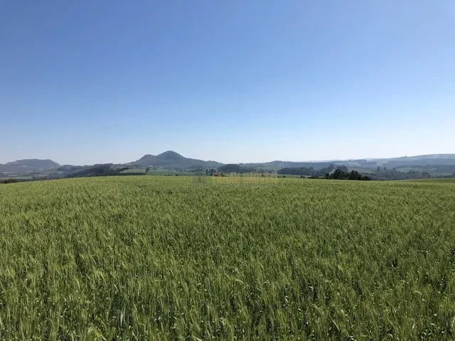 FAZENDA EM TAMARANA -PR, com 1.000 Hectares