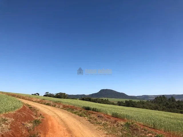 FAZENDA EM TAMARANA -PR, com 1.000 Hectares