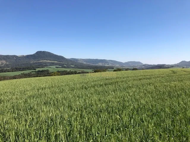 FAZENDA EM TAMARANA -PR, com 1.000 Hectares