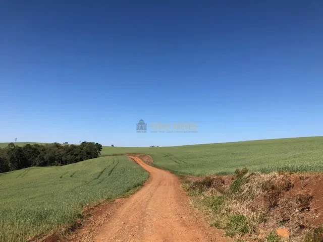 FAZENDA EM TAMARANA -PR, com 1.000 Hectares