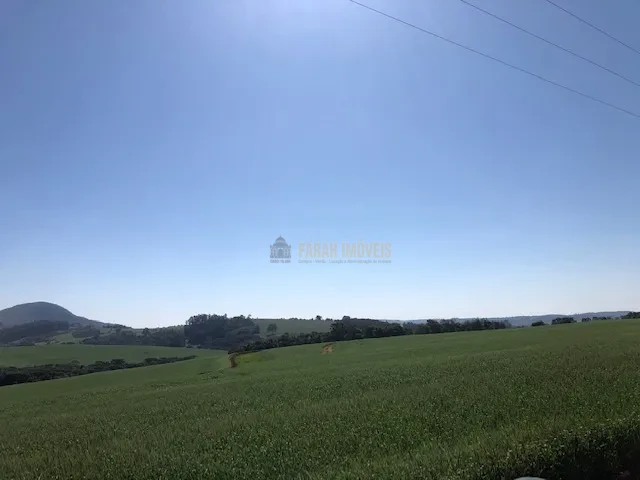 FAZENDA EM TAMARANA -PR, com 1.000 Hectares