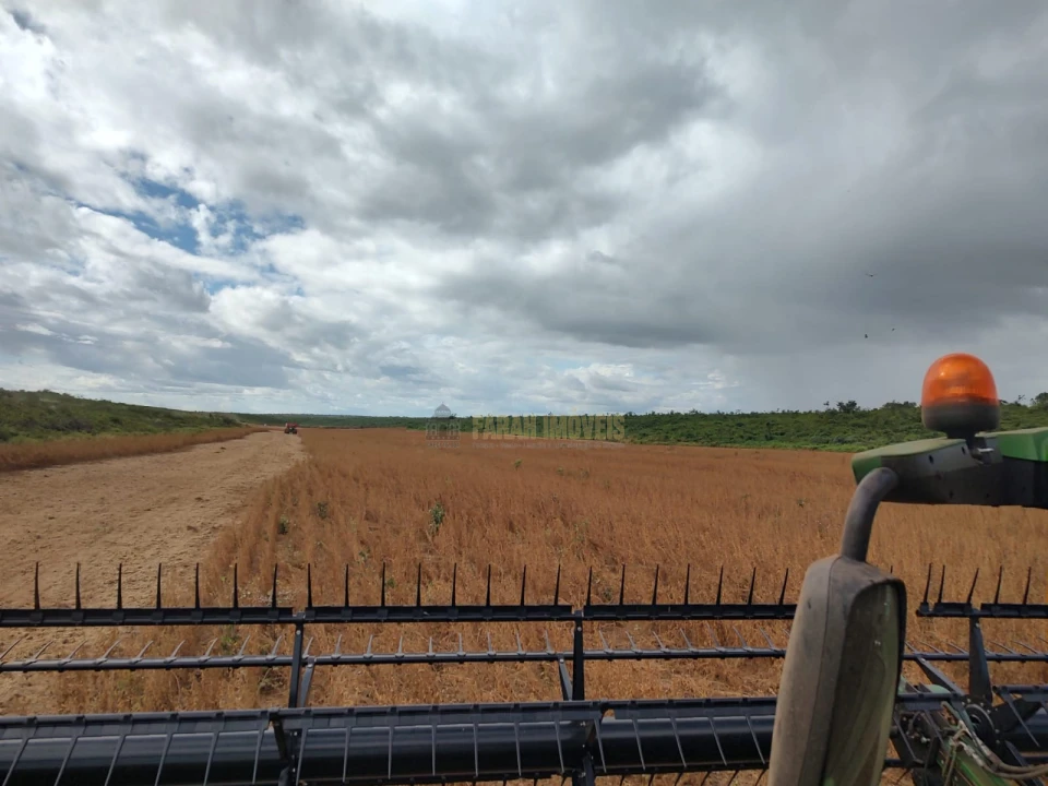 Fazenda  2.376.61 - Hectares