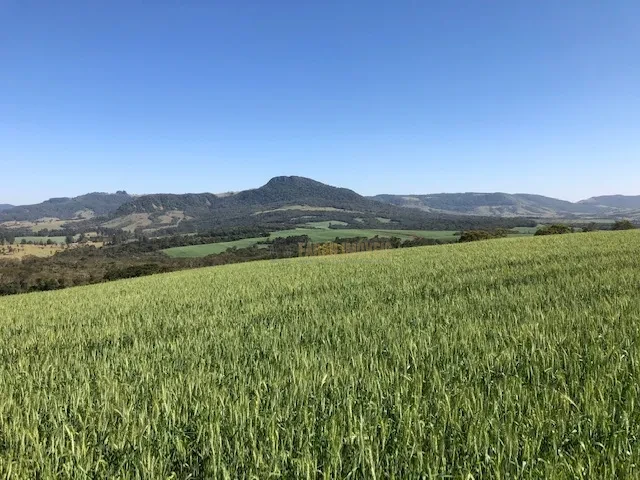 FAZENDA EM TAMARANA -PR, com 1.000 Hectares