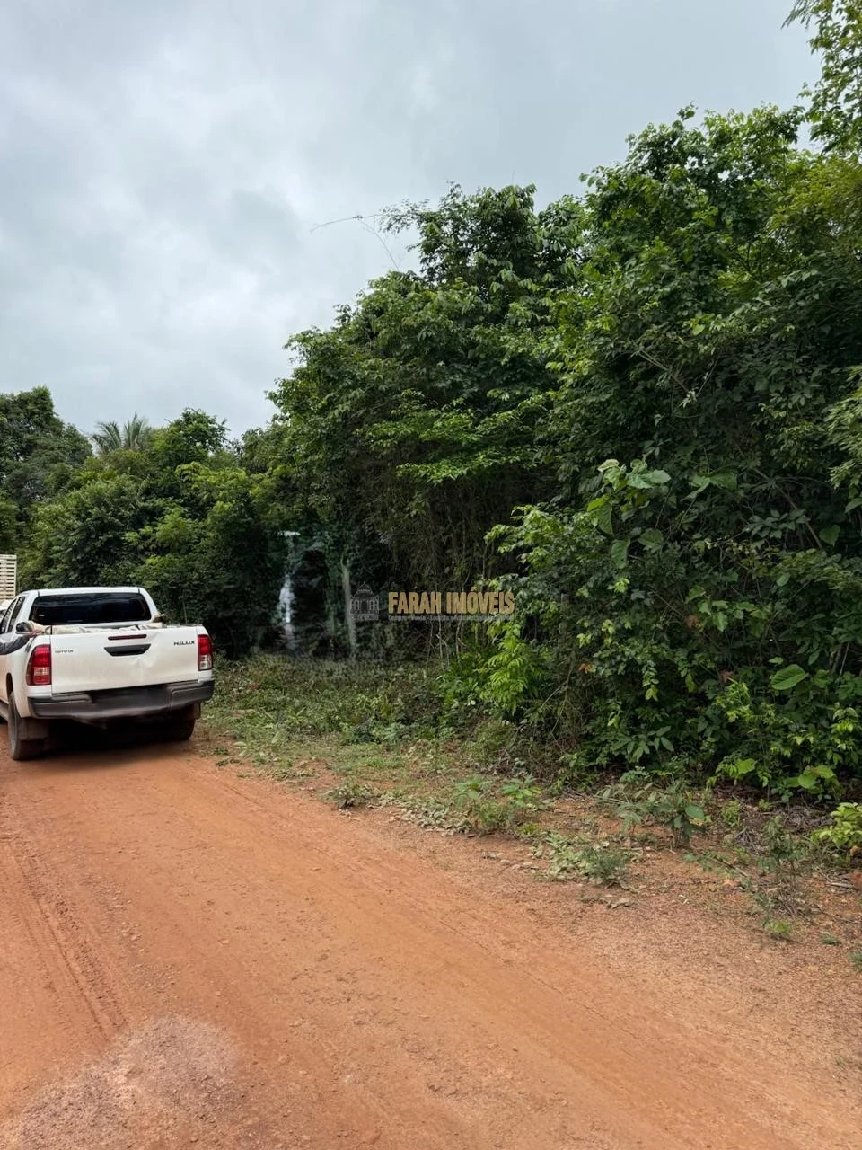 FAZENDA  3.584.38 HECTÁRES