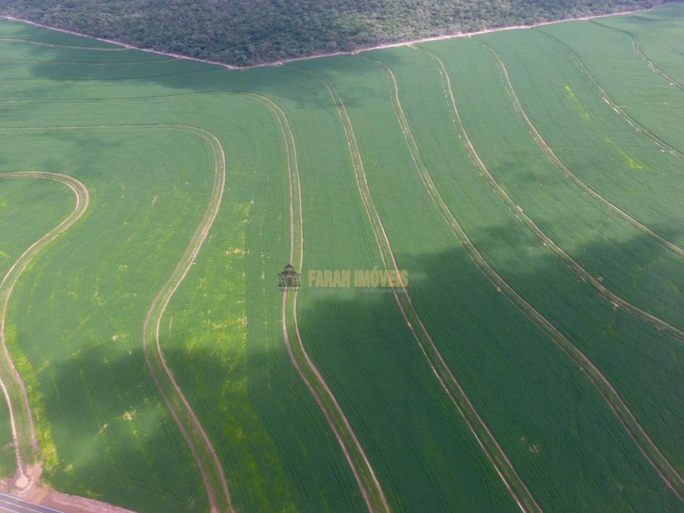 Fazenda  2.376.61 - Hectares