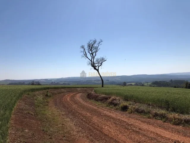 FAZENDA EM TAMARANA -PR, com 1.000 Hectares