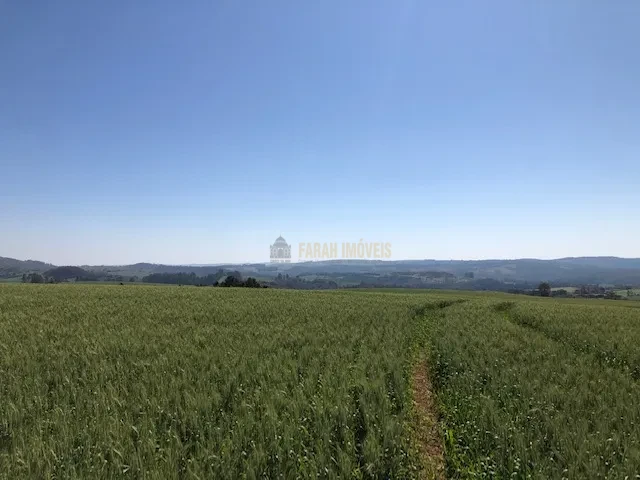 FAZENDA EM TAMARANA -PR, com 1.000 Hectares