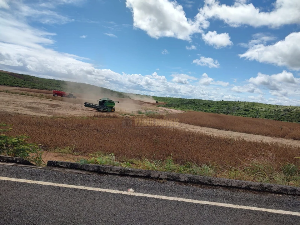 Fazenda  2.376.61 - Hectares