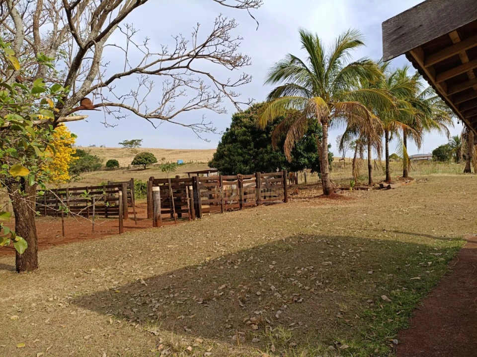 24 alqueires em Primeiro de Maio-Pr