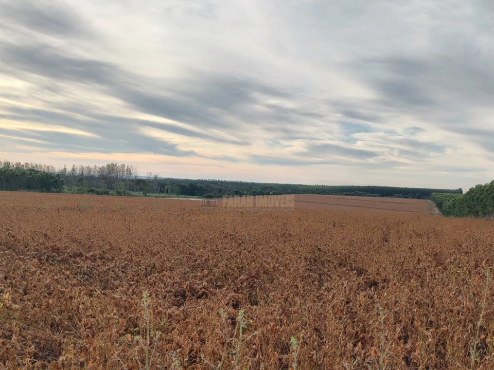 Fazenda  2.376.61 - Hectares
