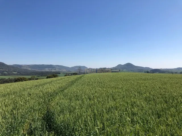 FAZENDA EM TAMARANA -PR, com 1.000 Hectares