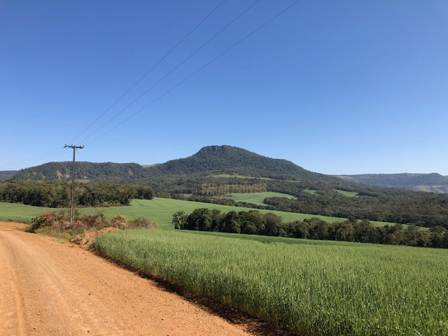 Fazenda  Município de Londrina - Zona Rural