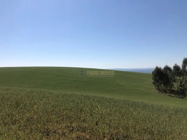 FAZENDA EM TAMARANA -PR, com 1.000 Hectares