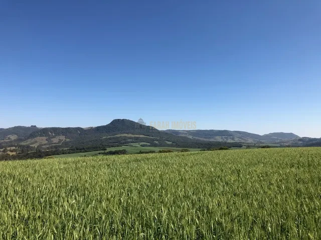 FAZENDA EM TAMARANA -PR, com 1.000 Hectares