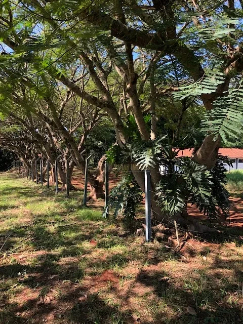 Terreno Condomínio Estancia Cabral