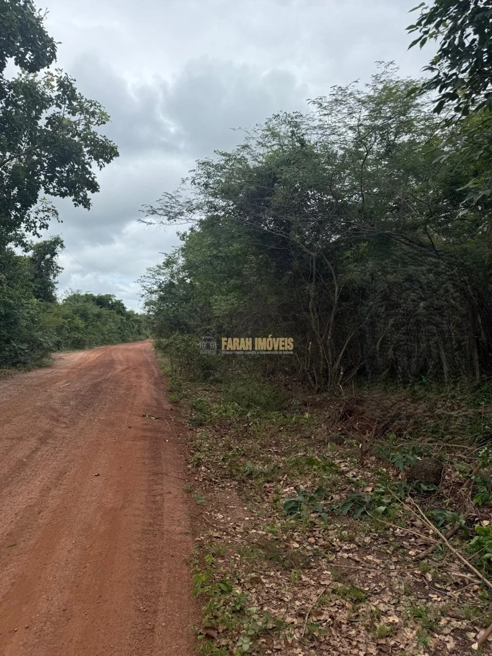 FAZENDA  3.584.38 HECTÁRES