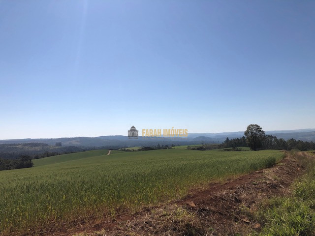 Fazenda  Município de Londrina - Zona Rural