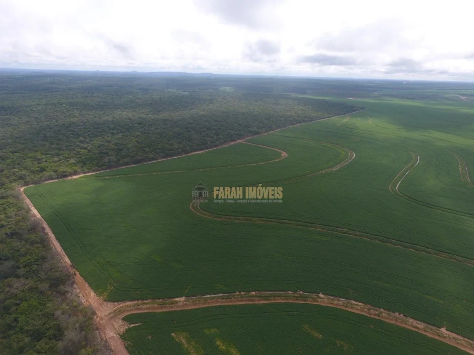 Fazenda  2.376.61 - Hectares