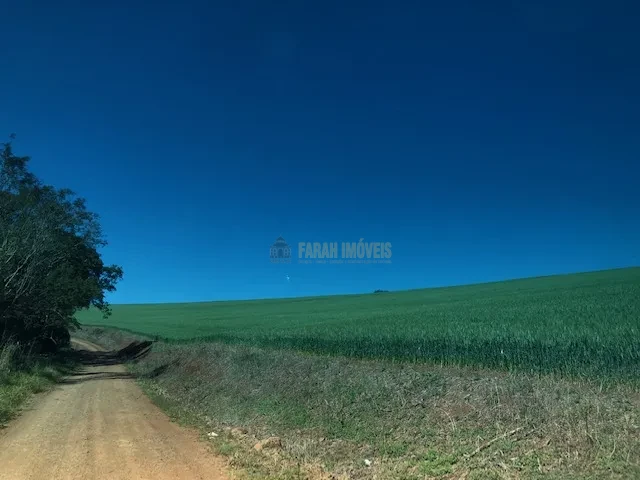 FAZENDA EM TAMARANA -PR, com 1.000 Hectares
