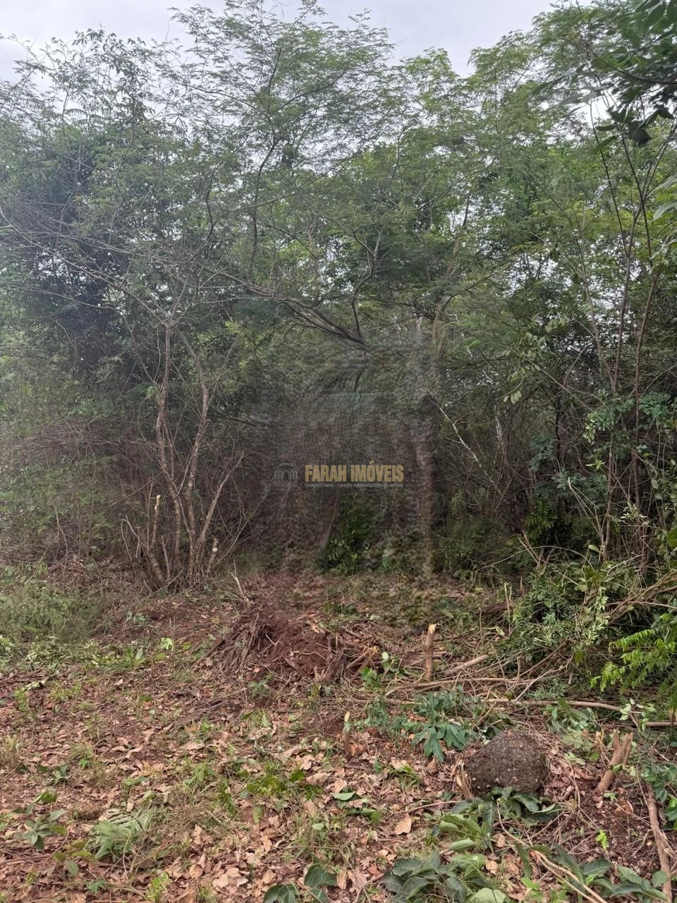 FAZENDA  3.584.38 HECTÁRES