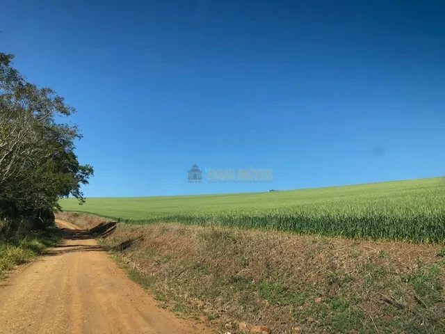 FAZENDA EM TAMARANA -PR, com 1.000 Hectares