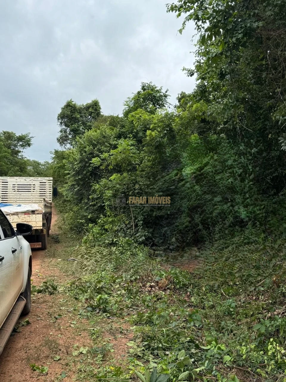 FAZENDA  3.584.38 HECTÁRES