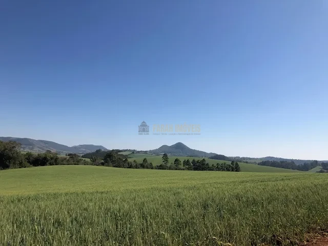 FAZENDA EM TAMARANA -PR, com 1.000 Hectares