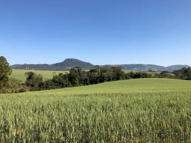 FAZENDA EM TAMARANA -PR, com 1.000 Hectares