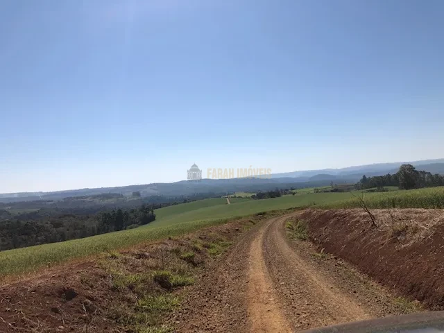 FAZENDA EM TAMARANA -PR, com 1.000 Hectares