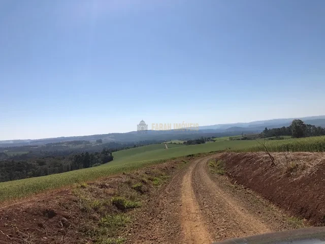 FAZENDA EM TAMARANA -PR, com 1.000 Hectares