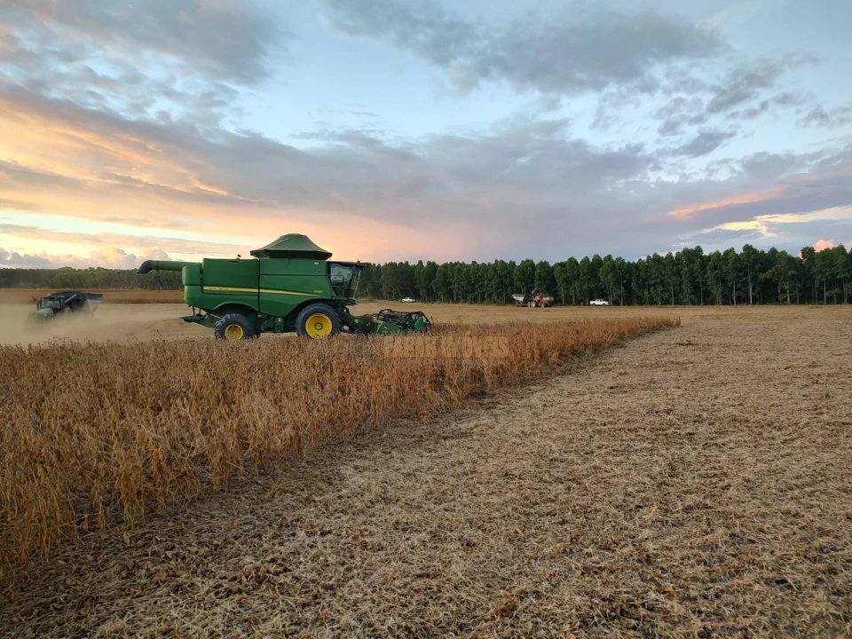 Fazenda  2.376.61 - Hectares