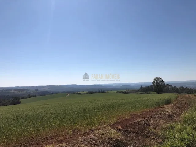 FAZENDA EM TAMARANA -PR, com 1.000 Hectares