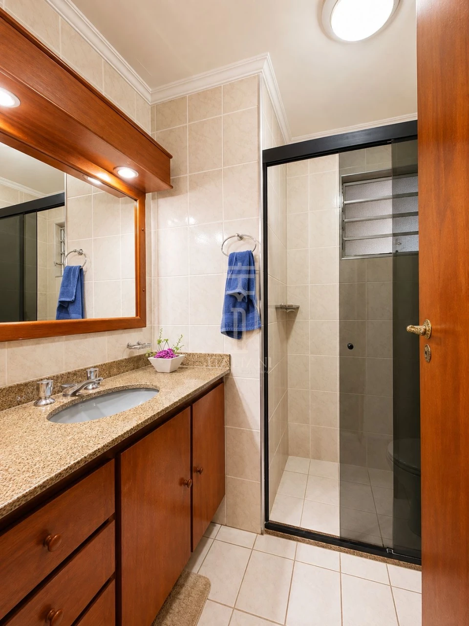Imagens do imóveis Apartamento Com 3 Quartos E Uma Suite Edifício Ipanema