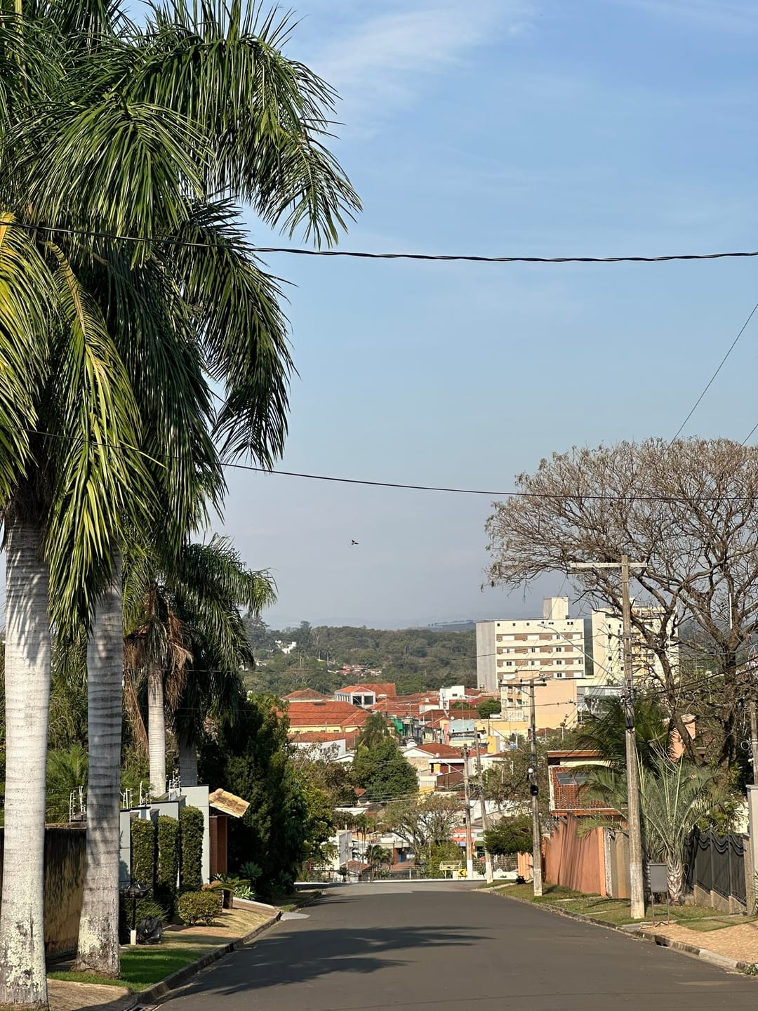 Imagens do imóveis Terreno Lote à venda com 600 m² e 14 metros de frente no Bairro Jardim Longatto em Mogi Mirim, SP