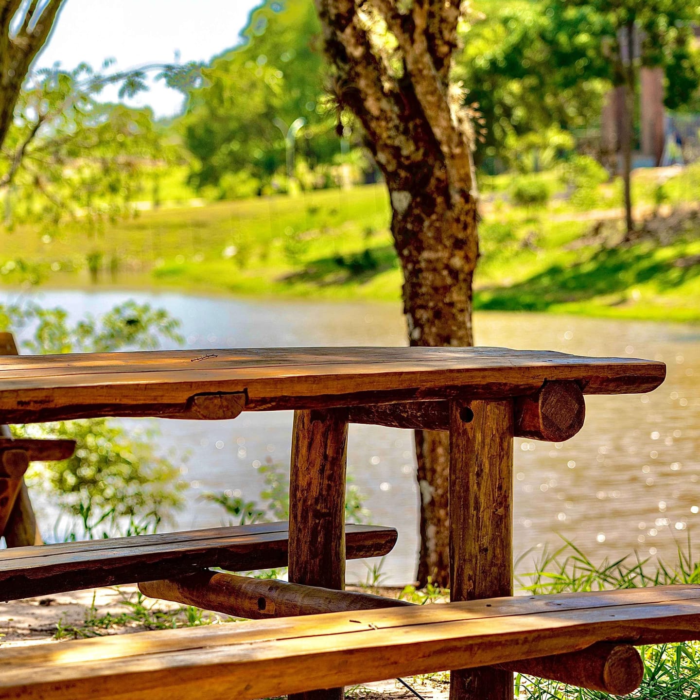 Imagens do imóveis Lote terreno em condomínio fechado interior Mogi Mirim SP Baixa mogiana Flor D'aldeia