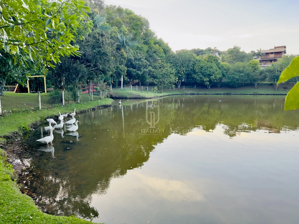 Imagens do imóveis Casa De Alto Padrão Com Piscina E Firepit Condomínio Maria Andrade